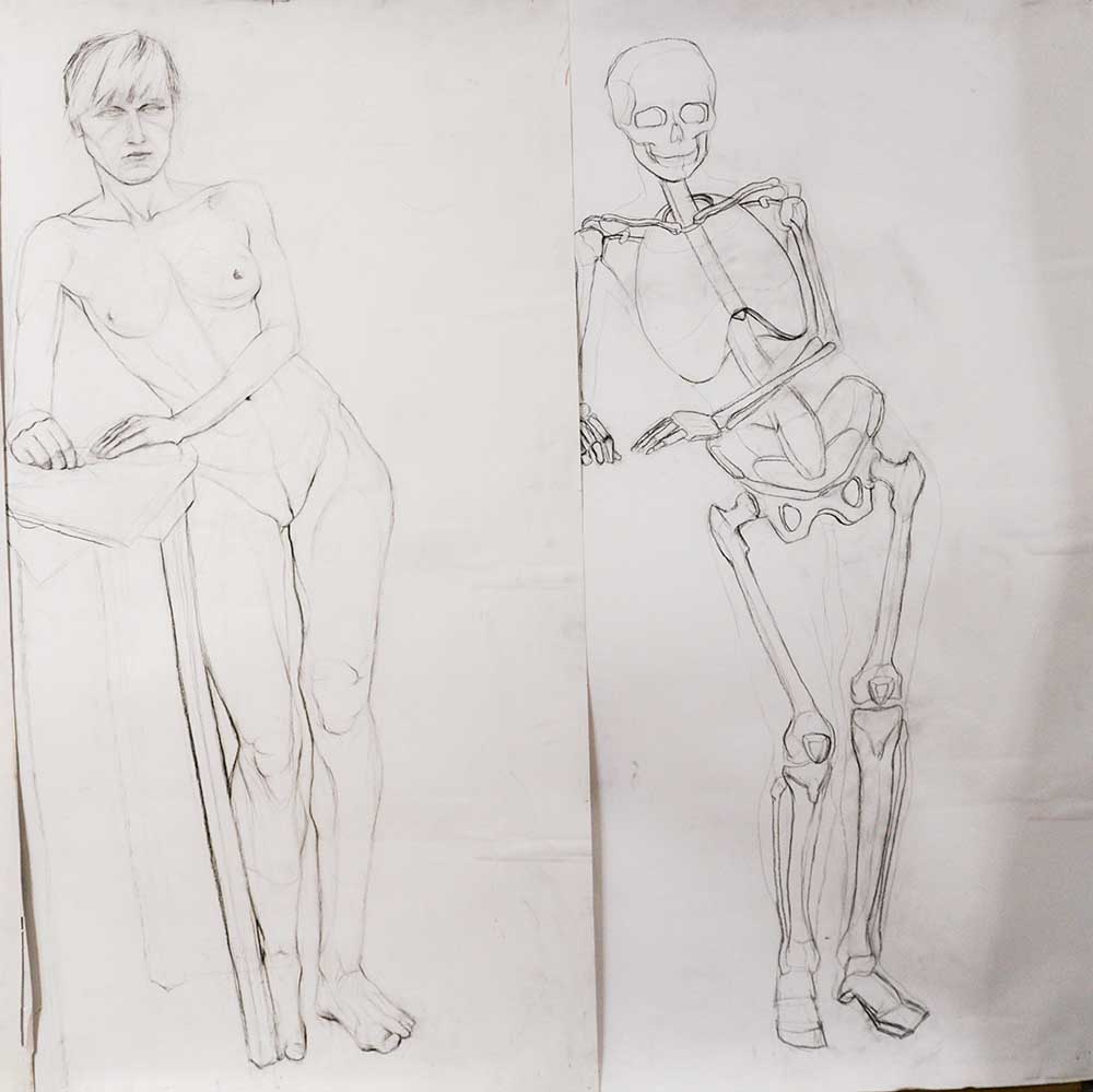 anatomia warszawa rysunek